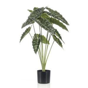 Alocasia Artificial Plant 80cm - Green