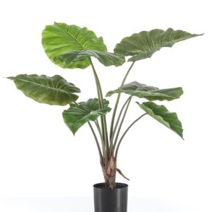 Artificial Alocasia Plant - 70cm - Green
