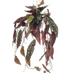 Artificial Begonia Maculata - Spotted Design - 80cm Tall