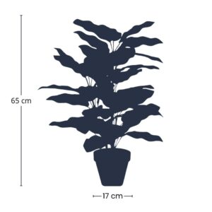 Artificial Calathea in Pot - 65 cm Tall