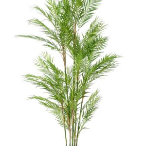 Artificial Chamaedorea Elegans Palm - 180cm - Green