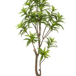 Artificial Dracaena Dragon Tree - 155 cm - Green