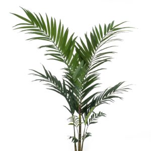 Artificial Kentia Palm - 150cm - Green