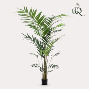 Artificial Kentia Palm - 210cm - Green