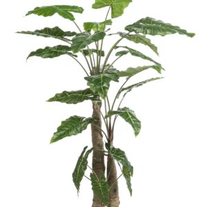 Artificial Plant - Alocasia - 180 cm - Green
