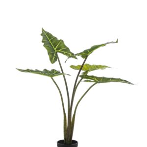 Artificial Plant - Alocasia Frydek - 80 cm