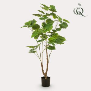 Artificial Plant - Ficus Umbellata - 125cm - Green