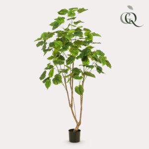 Artificial Plant - Ficus Umbellata - 180cm