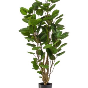 Artificial Plant - Polyscias Aralia - 105 cm