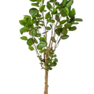 Artificial Plant - Polyscias Aralia - 150cm Green
