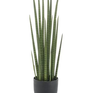Artificial Snake Plant - Sansevieria Cylindrica - 70 cm
