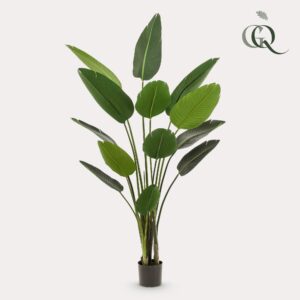 Artificial Strelitzia Nicolai - Bird of Paradise - 190 cm