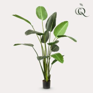 Artificial Strelitzia Nicolai Plant - Bird of Paradise 230cm