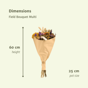 Dried Field Flowers Bouquet Multi Ø25cm ↕60cm