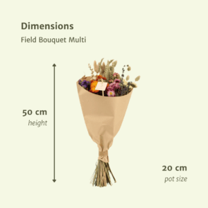 Dried Flowers Bouquet Multi - Ø20cm x H50cm