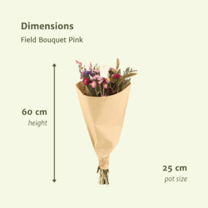 Dried Flowers Bouquet Pink - Ø25cm ↕60cm