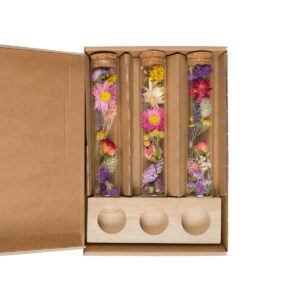 Dried Flowers - Message in a Box Large - Multi, 8pcs