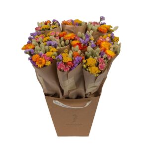 Dried Flowers Multi-Color ↕50cm - Pack of 10