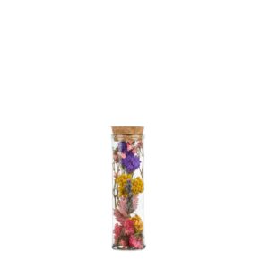 Dried Flowers Wish Bottle Small Multi 12pcs 10cm