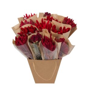 Dried Mono Mix Flowers - Red - 50cm