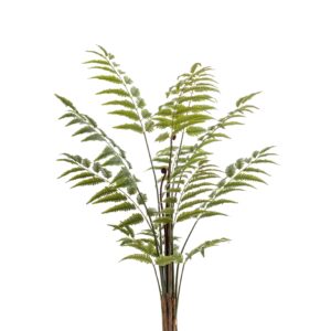 Lifelike Artificial Rumohra Fern - 150cm Green Decor