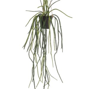 Lifelike Green Rhipsalis Coral Cactus, 85cm Artificial Plant