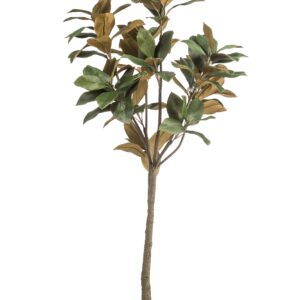 Lifelike Magnolia Grandiflora Artificial Plant - 150cm