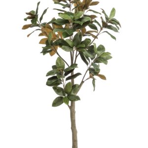 Lifelike Magnolia Grandiflora Artificial Plant - 180 cm