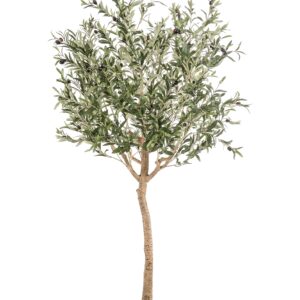 Lifelike Olive Tree - Artificial Olea Europaea - 180cm Tall