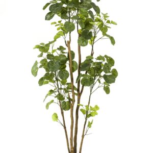 Lifelike Polyscias Artificial Plant - 160cm Aralia Green