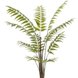 Lifelike Rumohra Adiantiformis Faux Leather Fern, 180cm