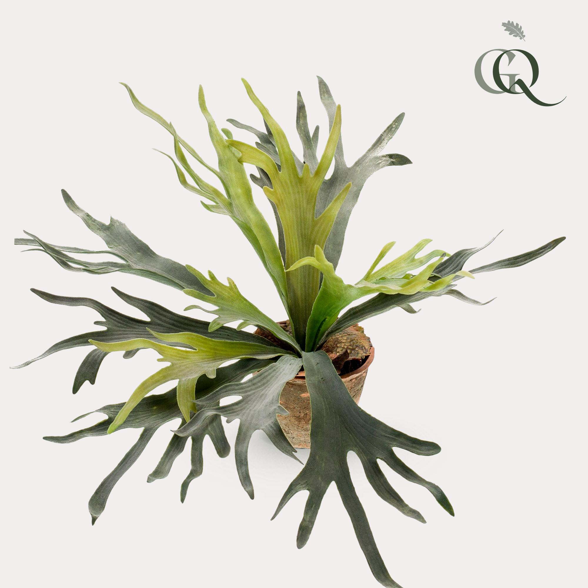 Lifelike Staghorn Fern Artificial Plant - 50cm Green Decor - Image 2