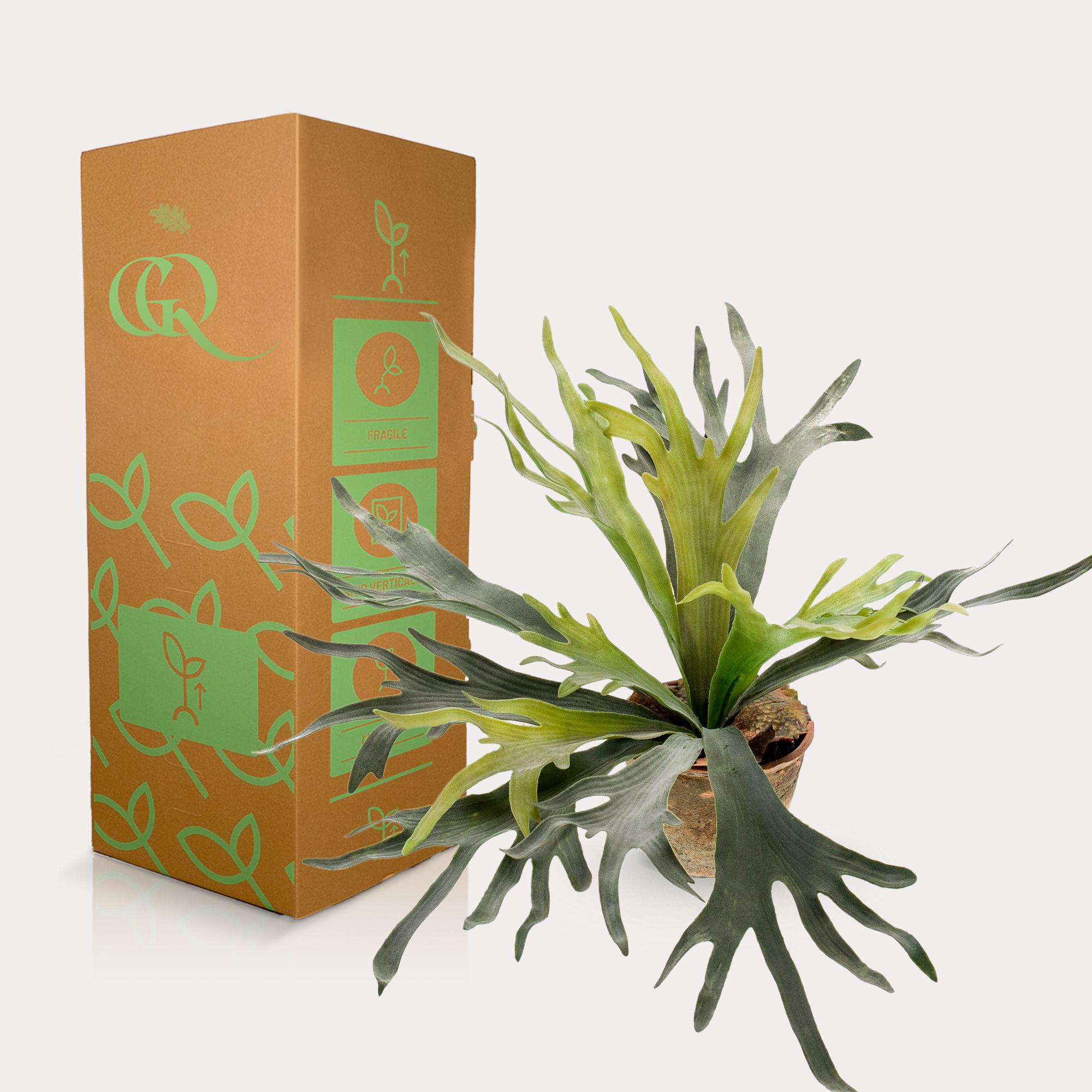 Lifelike Staghorn Fern Artificial Plant - 50cm Green Decor - Image 4