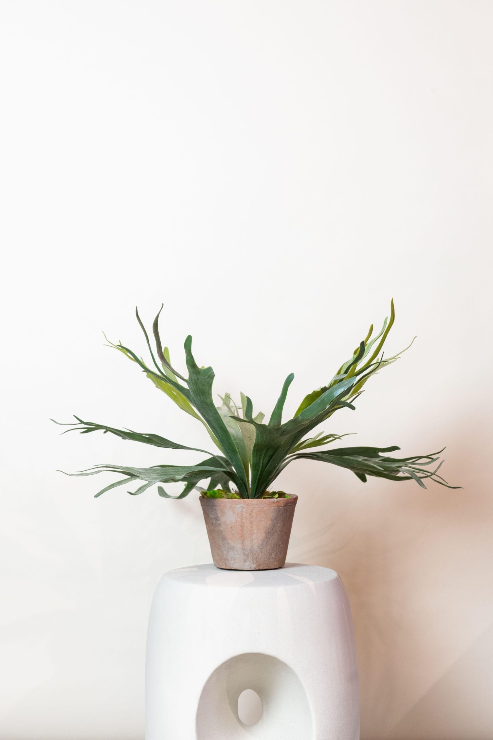 Lifelike Staghorn Fern Artificial Plant - 50cm Green Decor - Image 6