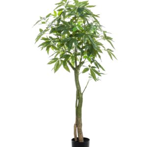 Lucky Money Tree Artificial Plant - Pachira Aquatica 150cm