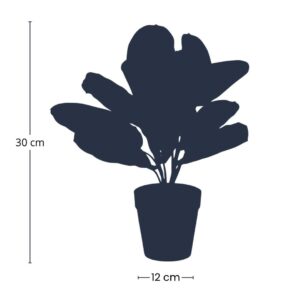 Maranta Green - 30cm - In Black Pot - Artificial Plant