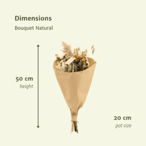 Natural Dried Field Flowers Bouquet - Ø20cm ↕50cm