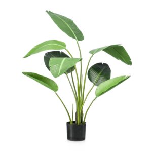 Strelitzia 120cm - Black Pot - Artificial Plant